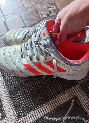 Сороконожки