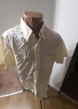 Сорочка чоловіча оригінал