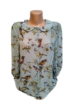 Phase eight жіноча блузка розмір м пташки
