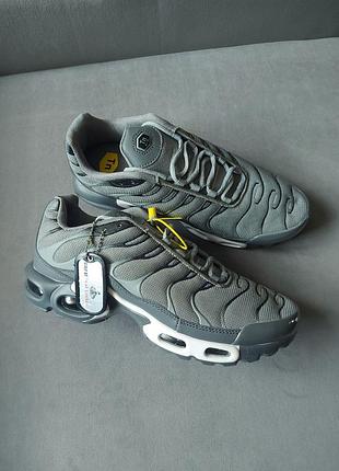 Nike air max plus grey