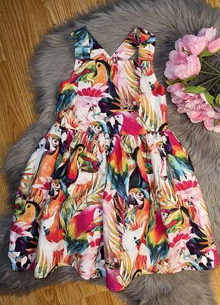 Ідеальна стильна пишна сукня з яскравим принтом на дівчинку 6р tu
