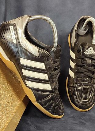(71) adidas puntero. футзалки чоловічі, жіночі, підліткові. розмір 40 2/3 устілки 25, 5 см.