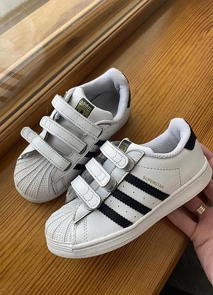 Кросівки adidas superstar