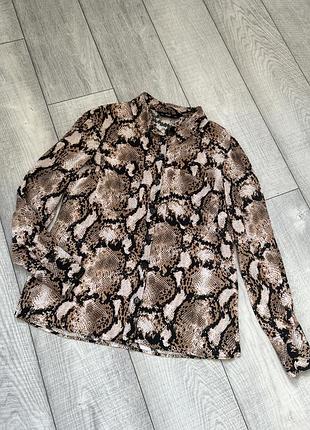 Сорочка жіноча блуза