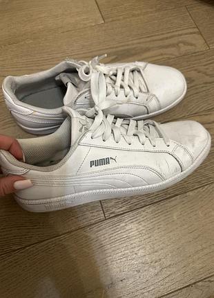 Чоловічі кеди puma