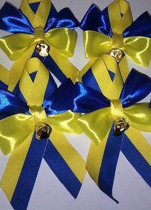 Заколочки на последний звонок