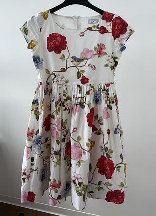 Сукня monnalisa