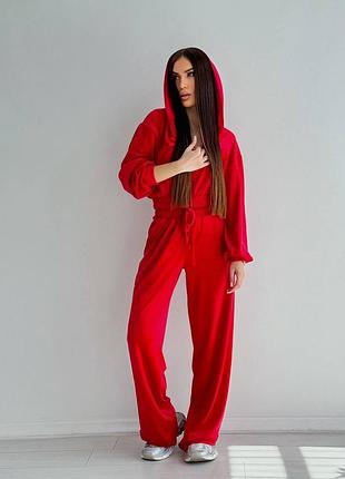 Велюровый спортивный костюм