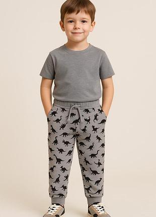Детский спортивные штаны "dinom" серые. размер 134.