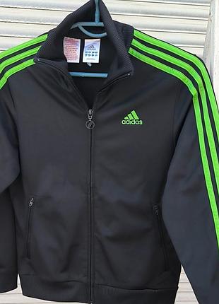 Олимпийки adidas