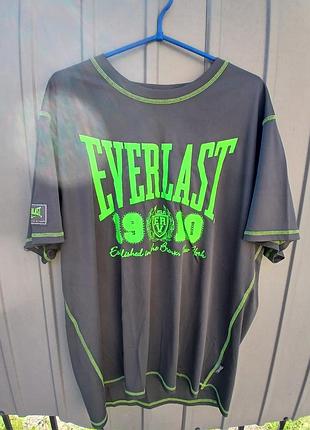 Мужская футболка everlast.