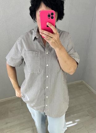 Нова стильна сорочка блуза