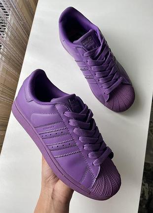 Кросівки adidas superstar equality,кросівки adidas фіолетові оригінал