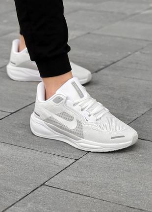 Кроссовки nike pegasus 41 2