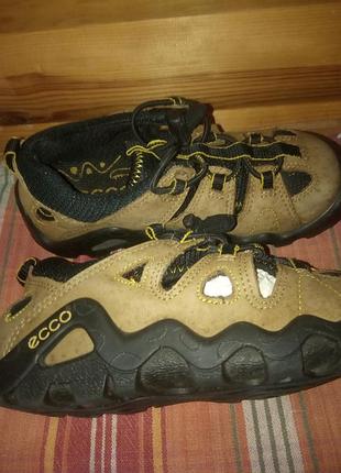 Крассовки ессо