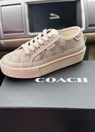 Кеди coach