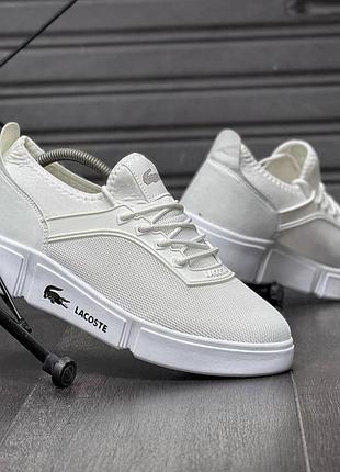 Летние кеды мужские, lacoste белые, текстиль, весна-лето, размер 40-44