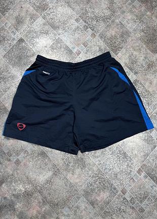 Вінтажні спортивні шорти nike dry fit
