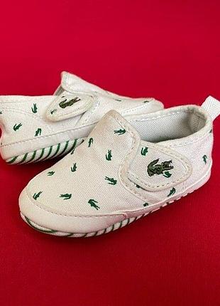 Пинетки lacoste оригинал