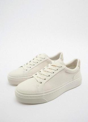 Кеди zara білі