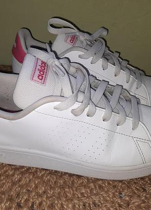 Кроссовки hobby adidas