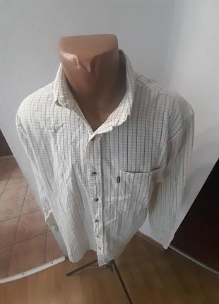 Сорочка чоловіча xl