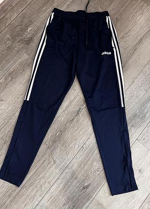 Спортивні штани