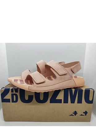 Ecco cozmo