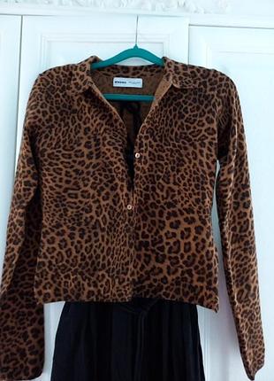 Кофточка, кардиган