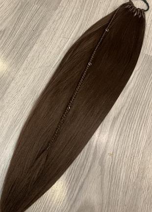 Афрокса афрохвост на резинке