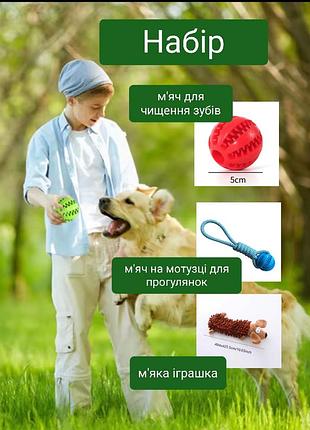 Жевательные игрушки для собак