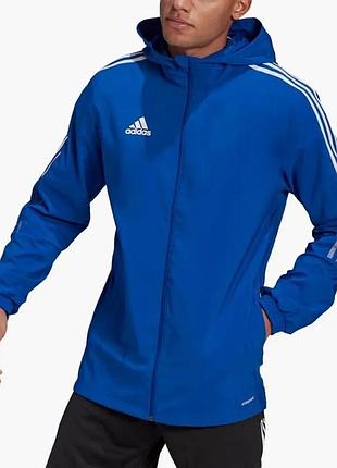 Нова чоловіча ветрівка від adidas