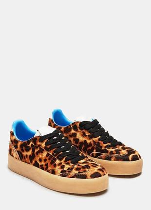 Кеди натуральна шкіра і хутро леопард steve madden