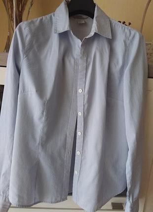 Стильная рубашка белая в голубую узкую полоску