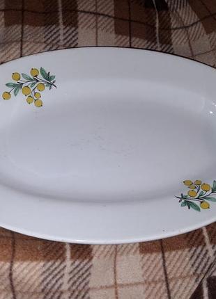 Большое блюдо буды с лимонами ссср