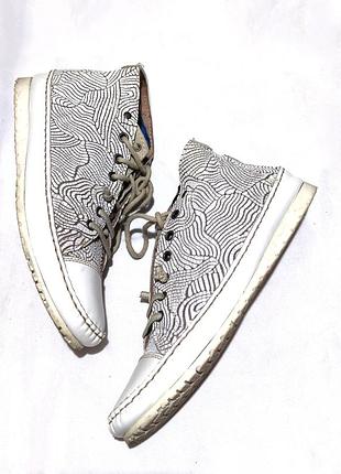 Clocharme charme  кожаные спортивные кроссовки кеды  /12240/