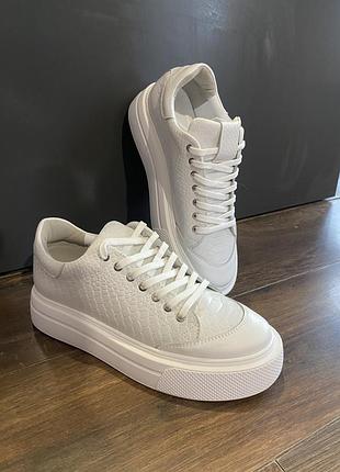 Жіночі кеди jastoni shoes білі шкіряні текстура пітон 42 розмір