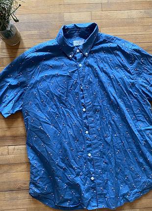 Цікава літня чоловіча сорочка в голубому кольорі easy