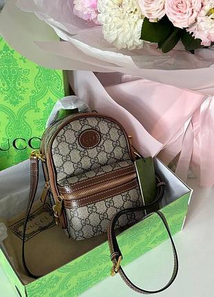 Gucci premium