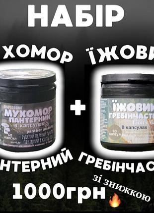 Мухомор і їжовик