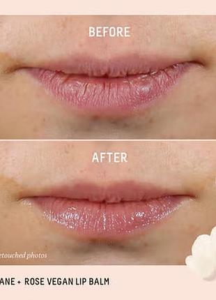Питательный бальзам для губ squalane + rose vegan lip oil biossance
