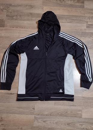 Спортивная кофта Antlia adidas мужская