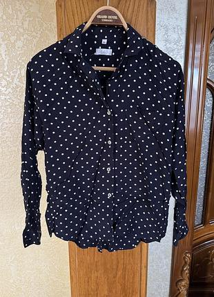 Синя жіноча сорочка в горошок