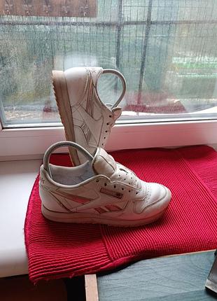 Кросівки жіночі reebok