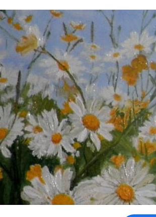 Картина по номерам пейзаж ромашки 20 на 30 см а4