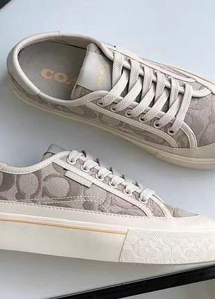 Жіночі кеди coach кеди коач