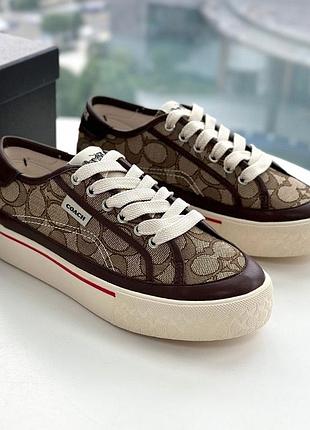 Жіночі кеди coach кеди коач