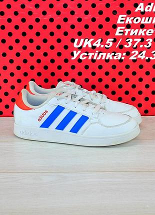 Кросівки adidas