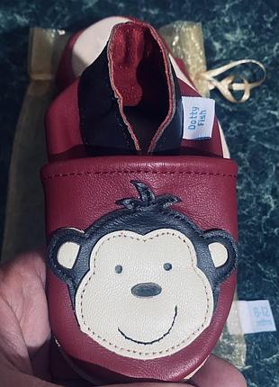 Шкіряні чешки 10