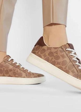 Кеди coach